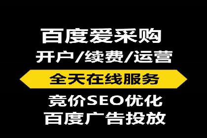 SEM服务案例：提升网站流量
